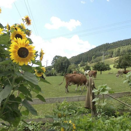 Apartamento Urlaub Auf Dem Haenslehof Elzach Exterior foto