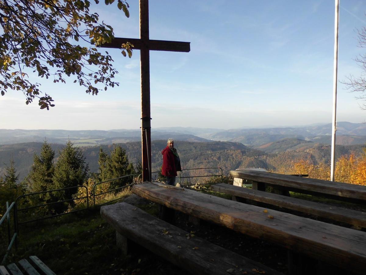 Apartamento Urlaub Auf Dem Haenslehof Elzach Exterior foto