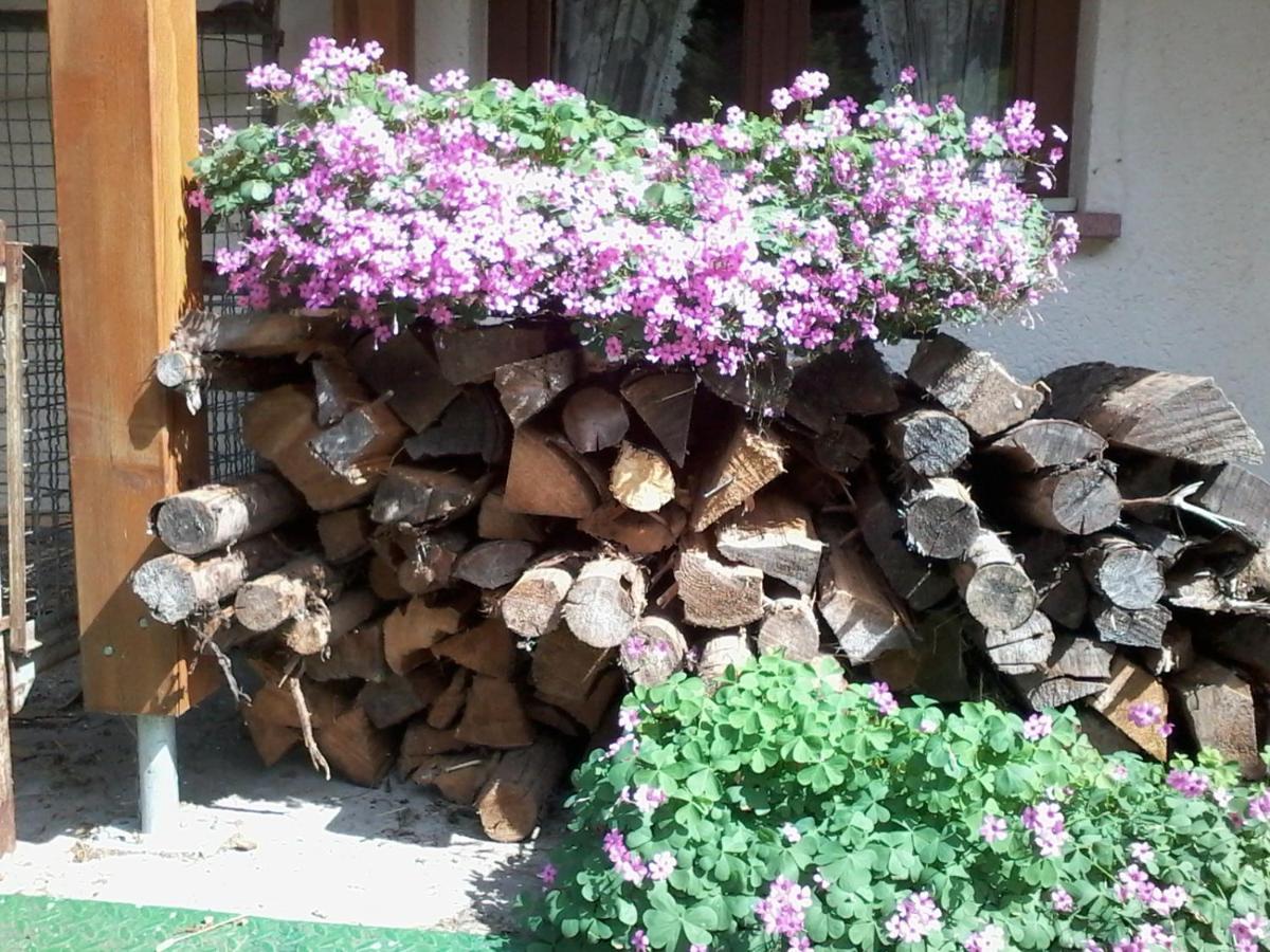 Apartamento Urlaub Auf Dem Haenslehof Elzach Exterior foto