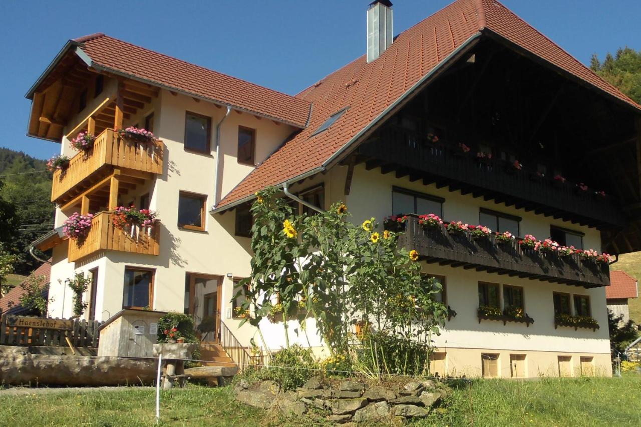 Apartamento Urlaub Auf Dem Haenslehof Elzach Exterior foto