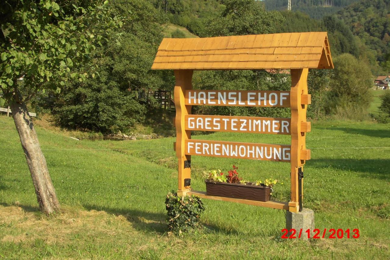 Apartamento Urlaub Auf Dem Haenslehof Elzach Exterior foto