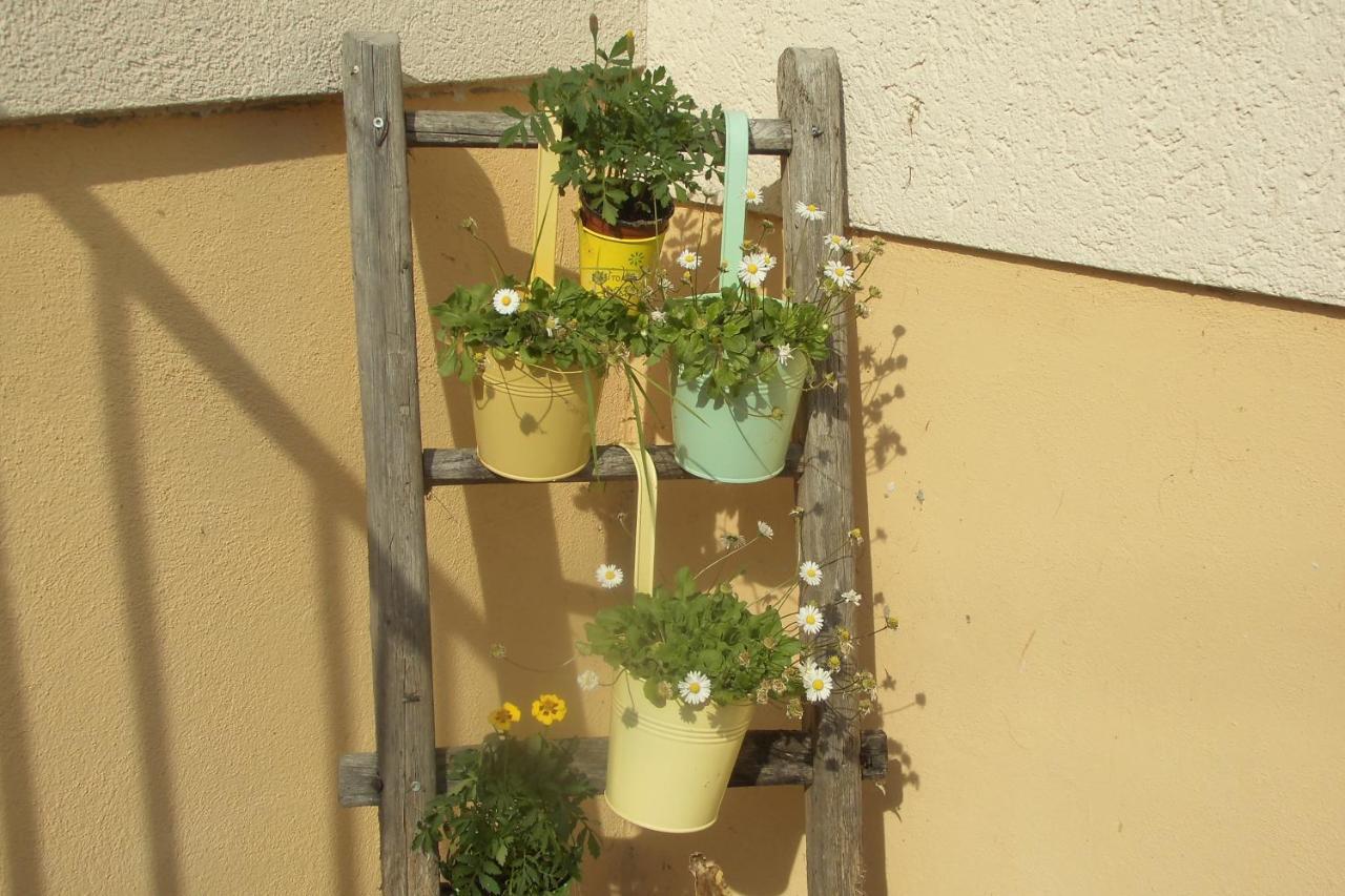 Apartamento Urlaub Auf Dem Haenslehof Elzach Exterior foto