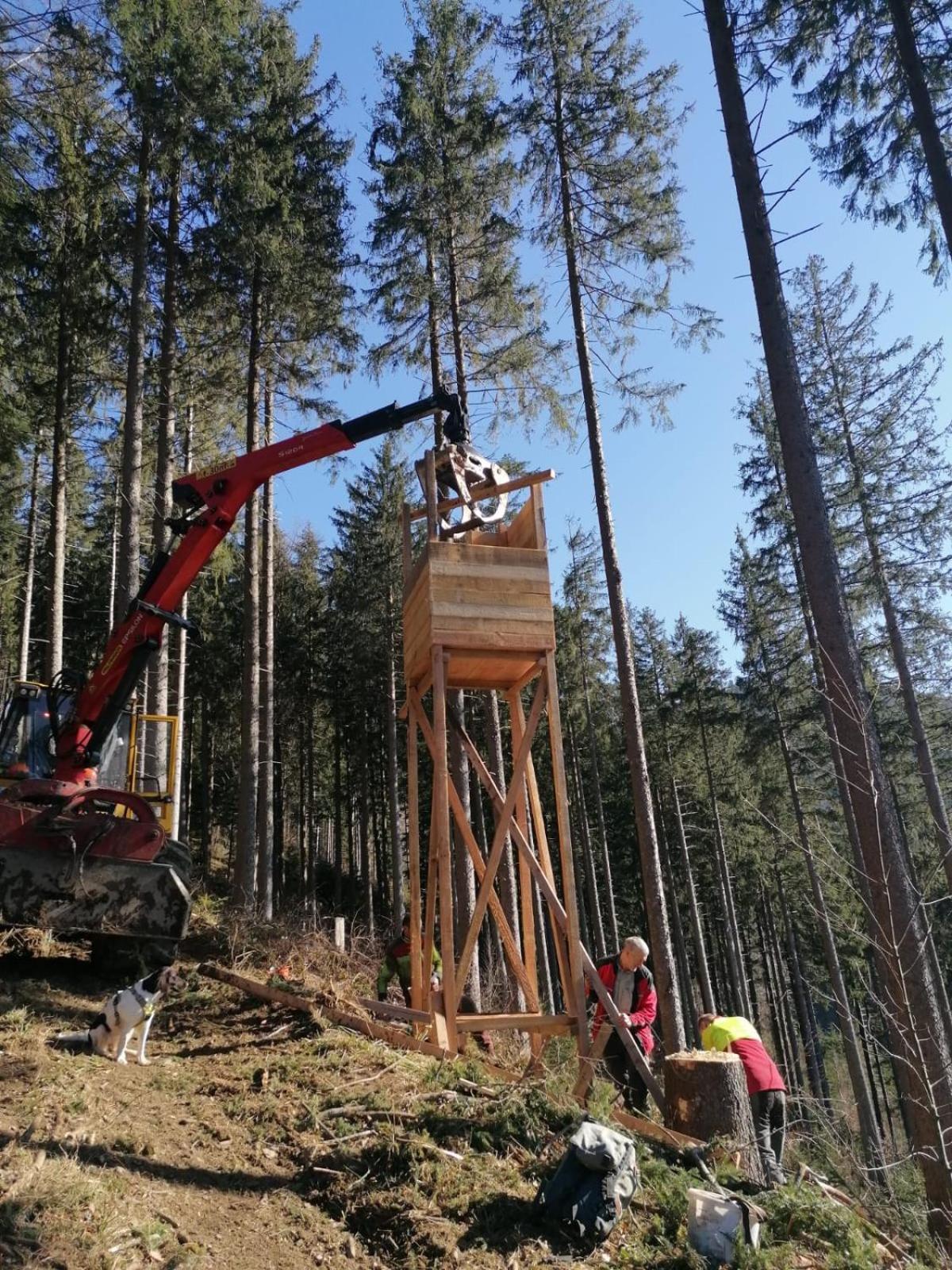 Apartamento Urlaub Auf Dem Haenslehof Elzach Exterior foto