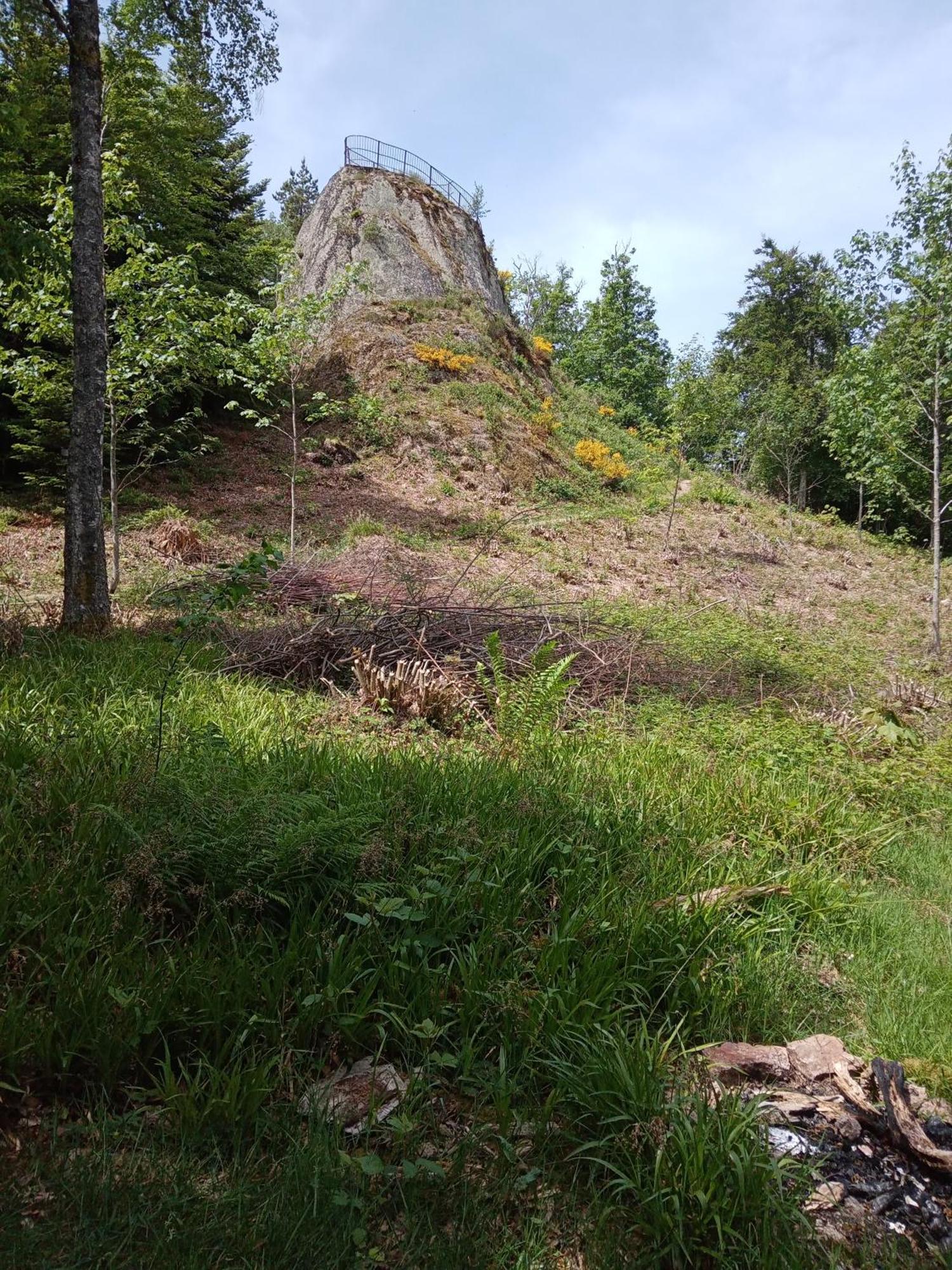 Apartamento Urlaub Auf Dem Haenslehof Elzach Exterior foto