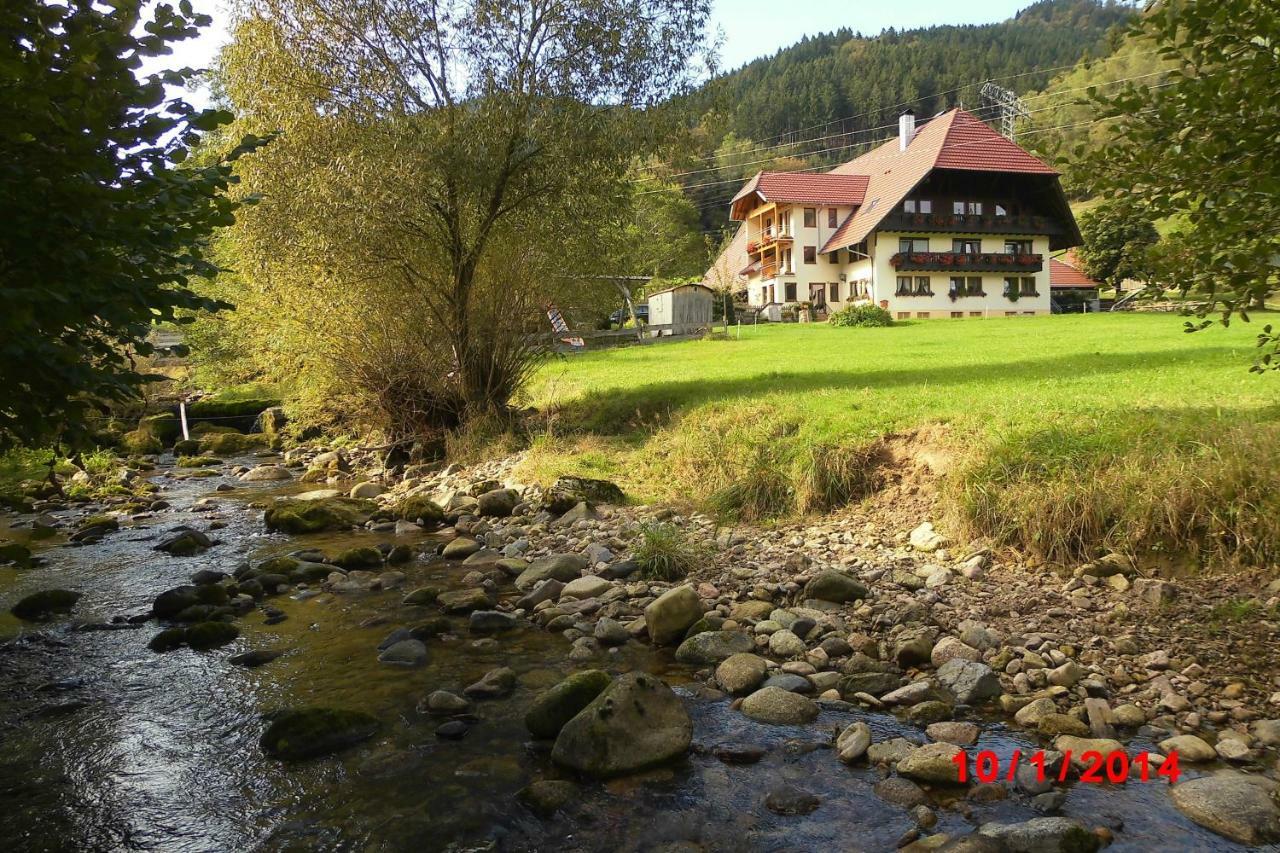 Apartamento Urlaub Auf Dem Haenslehof Elzach Exterior foto