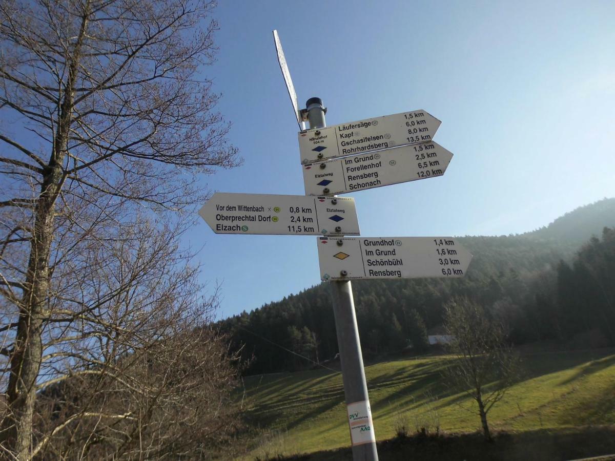 Apartamento Urlaub Auf Dem Haenslehof Elzach Exterior foto